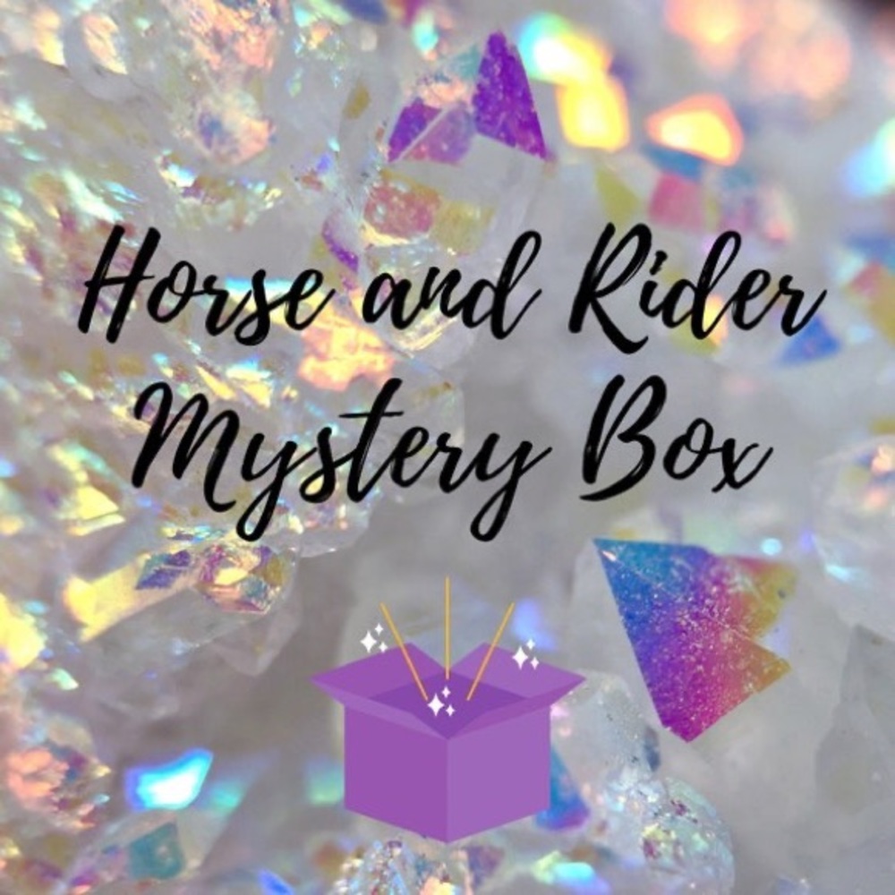 Horse and rider mystery box / horse tack - Picture 1 of 4